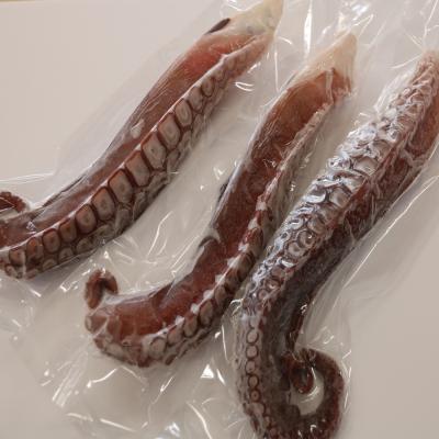 ふるさと納税 乙部町 【漁師の浜ゆでたこ　1kg】北海道　乙部町産　活〆　たこ　タコ　蛸 |  | 01