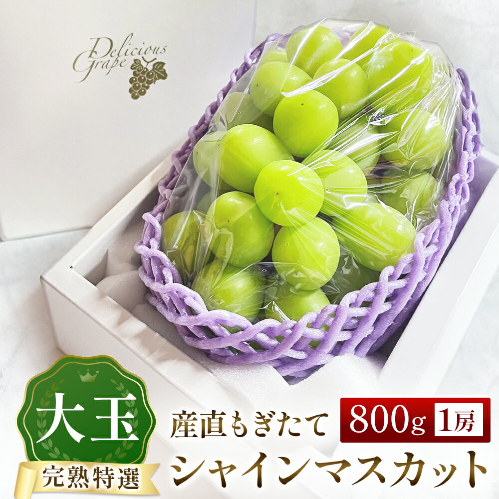 【ふるさと納税】【先行予約】シャインマスカット 800g ブドウ シャインマスカット シャイン マスカット 果物 産地直送 くだもの 甘い 数量限定 先行受付 厳選 大玉 フルーツ 大粒 果物 ぶどう 2026年発送 もぎたて 完熟 宮崎県 小林市 送料無料