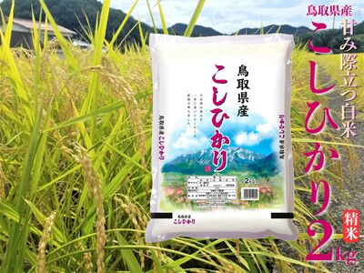 精米 2kg 白米 こしひかり 鳥取県産 令和7年産 | 42M