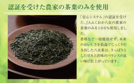 M26-81 福岡の八女茶 煎茶ペットボトル(24本)定期便(隔月×3回)