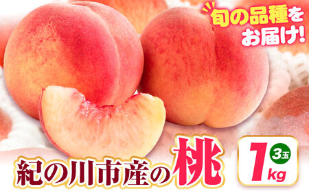 桃 紀の川市産 約1kg(3玉) 紀農人株式会社《2025年6月上旬-8月中旬頃出荷》和歌山県 紀の川市 果物 フルーツ 桃 もも モモ 旬