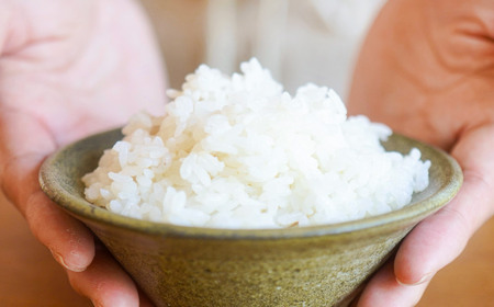 《定期便6回》 玄米 コシヒカリ 特A 丹波篠山産 5kg  特別栽培米 減農薬 令和7年産 コシヒカリ[SUBSC-AQ110-2601]