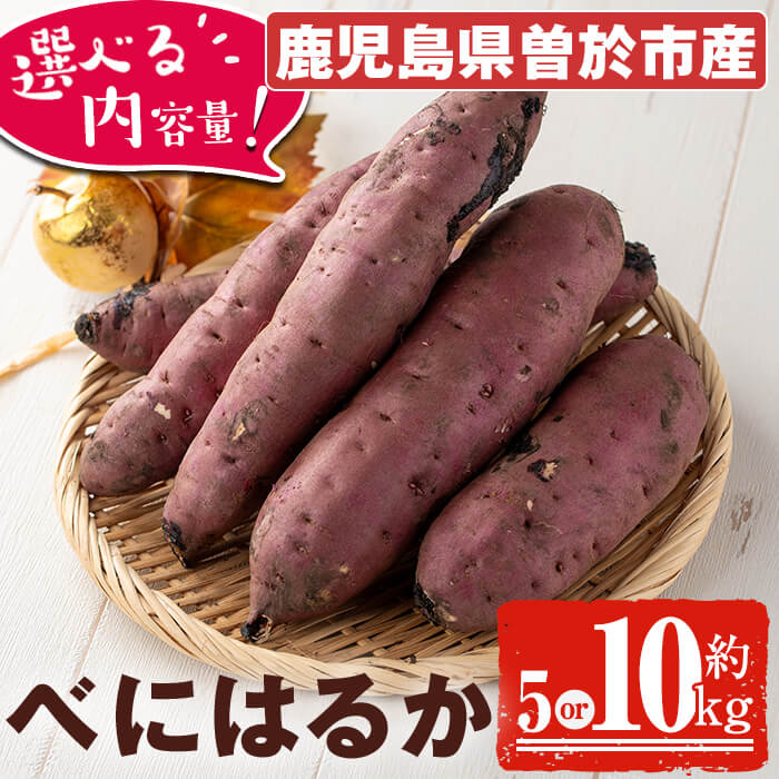 【ふるさと納税】＜先行予約受付中・2025年8月以降順次発送予定＞＜内容量が選べる！＞鹿児島県曽於市産！新物 紅はるか(5kg or 10kg) いも 芋 さつまいも 薩摩いも サツマイモ 紅はるか 新物 焼き芋 大学芋 スイーツ 選べる 5kg 10kg【瀬崎農園】