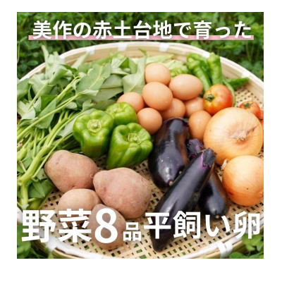 
                  【畑から直送】味覚を育む旬の野菜約8種と自然卵10コ入り【1483988】
                