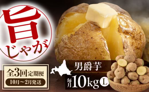 【全3回定期便】【先行予約】 じゃがいも 男爵芋 10kg ※2025年10月〜2月発送《喜茂別町》【Aコープようてい】 ジャガイモ じゃがいも 野菜 季節の野菜 詰め合わせ 北海道 産地直送 定期便