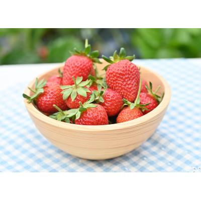 ふるさと納税 川上村 kitosumu(キトスム)　吉野桧のサラダボウル　小(径15cm) |  | 01