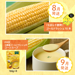 【先行予約】【6ヵ月定期便】 もろこしづくしとうもろこしサンド コーン炒飯 ポップコーン アイス カップアイス とうもろこし ゴールドラッシュ コーンスープ 北海道 十勝 芽室町me000-012-s