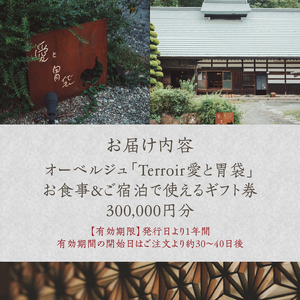 【Terroir愛と胃袋】お食事＆ご宿泊ギフト券【300,000円分】 [h295]