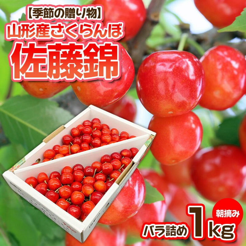 【ふるさと納税】【季節の贈り物】さくらんぼ 佐藤錦 1kg バラ詰め 朝摘み【令和7年産先行予約】FS23-880 くだもの 果物 フルーツ 山形 山形県 山形市 2025年産