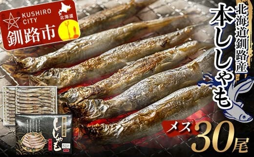 本ししゃも メス30尾 釧路産 本ししゃも 魚 ししゃも プチプチたまごのメス 魚介 グルメ シシャモ 北海道産 国産 魚 魚介 海の幸 F4F-8437