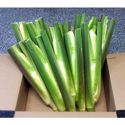 ふるさと納税 今治市 しまなみ野菜と果物セット(おまかせ)【C89】 |  | 02