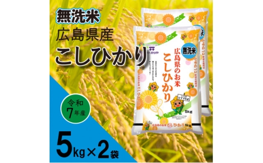 無洗米広島県産コシヒカリ10kg_無洗米 コシヒカリ 広島県産 お米 米 ご飯 ごはん 白米 精米 美味しい 人気 手間いらず 節水 環境にやさしい 時短 家庭用 ギフト 贈答 広島県【1294707】