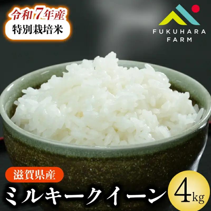 【令和7年産】 ミルキークイーン 4kg(2kg×2) 白米 特別栽培米 精米 滋賀県 彦根市 ミルキークイーン