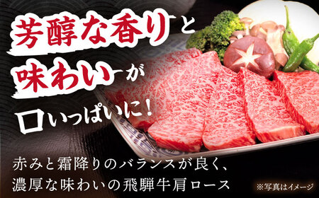 飛騨牛 肩ロース 500g [TDC005] 和牛 肩ロース