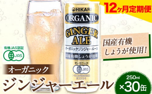 【12ヶ月定期便】 ジンジャーエール 250ml×30缶 光食品株式会社 定期 計12回お届け 《お申込み月の翌月から出荷開始》 徳島県 上板町 ジュース 炭酸水 光食品 ジンジャーエール オーガニック 有機 st-p