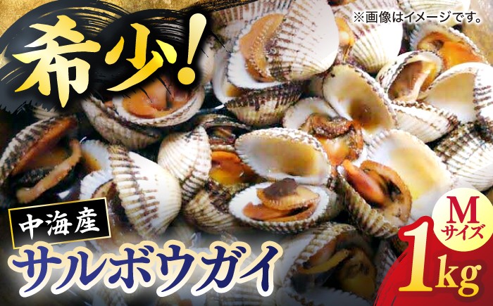 
                  【先行予約】【2026年12月中旬以降順次発送】【数量限定50個】貝 山陰の冬の味覚！中海産赤貝  (サルボウガイ) 1kg 島根県松江市/道の駅本庄企業組合 [ALCW001]｜サルボウ サルボウガイ サルボウ貝 赤貝 貝 二枚貝 中海 殻付き 島根 松江 おすすめ 人気 貝類 魚介類 1キロ 国産 フライ 煮付け 酒蒸し 炊き込みご飯 おつまみ 珍味 かい おいしい 
                