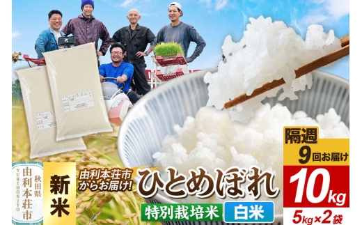 ＜令和8年産 新米＞《2週間毎お届け》【定期便9回】【白米】ひとめぼれ 10kg（5kg×2袋）特別栽培米   秋田県産 [ひとめぼれ 新米 米 お米 白米 精米 特別栽培米 ブランド米 食卓 おにぎり 秋田県産 秋田]