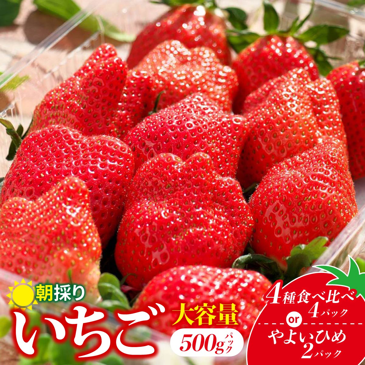 【ふるさと納税】【先行予約：選べる内容】 やよいひめ 4種食べ比べ 500g 2パック 4パック | 朝採れ イチゴ 苺 高品質 たっぷり 新鮮 完熟 旬 高級 産地直送 甘い あまい 人気 高評価 高糖度 ごほうび プレゼント 朝採れ やよいひめ ななか 贈答用 群馬県 前橋市