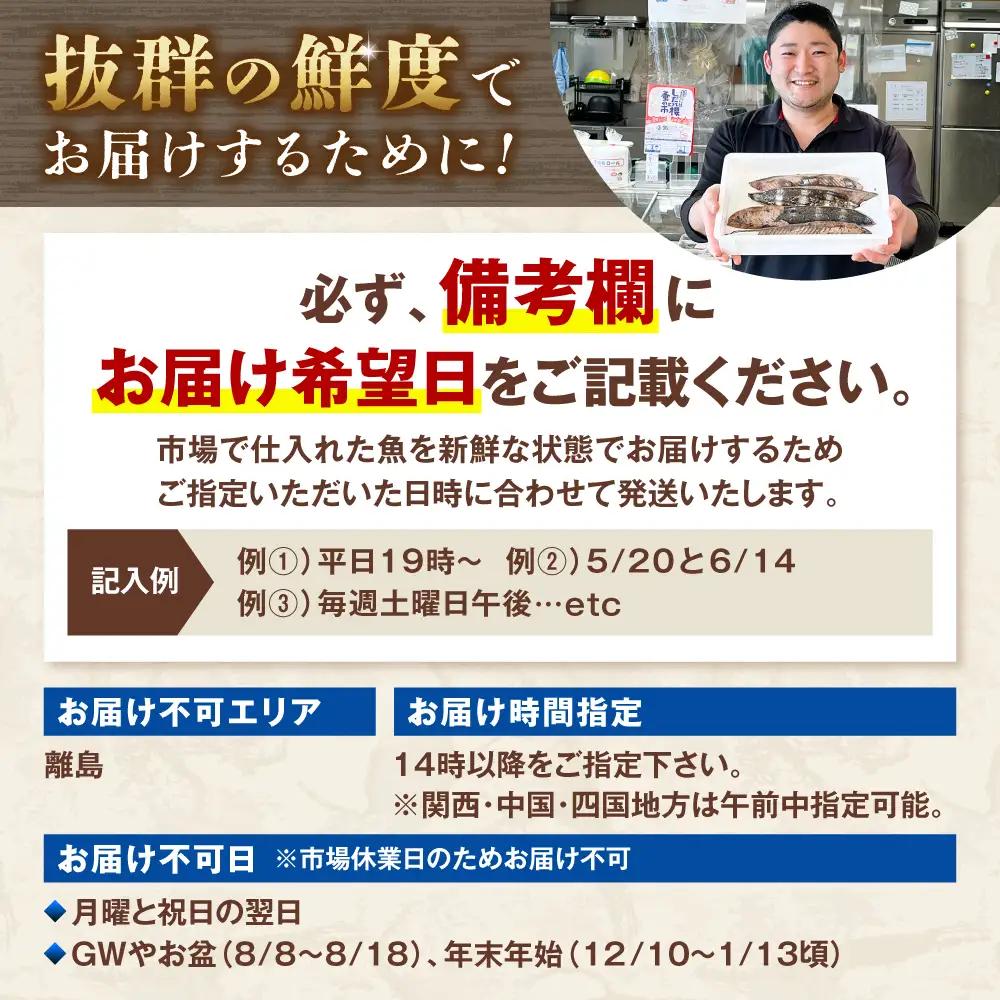 【全6回定期便】違いの分かる鮮魚店店長が送る 高知のお魚定期便！ 高知県土佐市 【さかなの森澤　マル祐】 [BQAM009]
