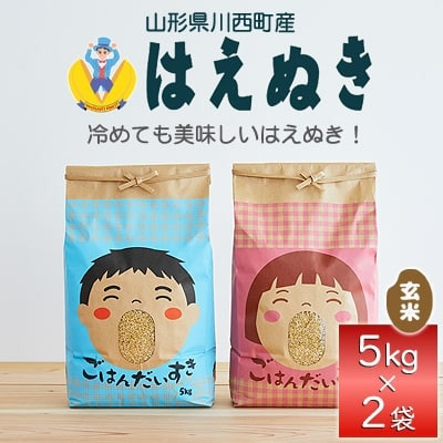 
            令和6年産　山形県産　はえぬき　玄米　10kg【1208100】
          