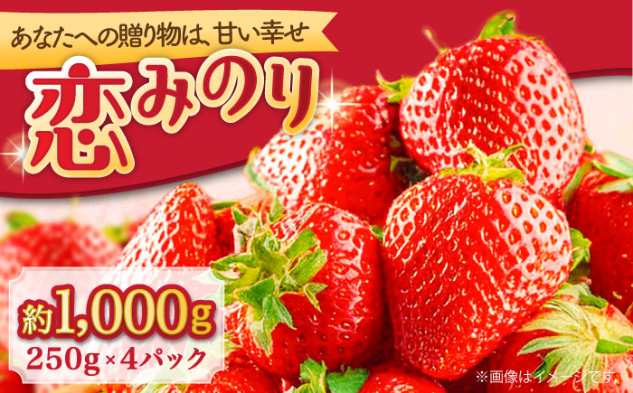 【2026年1月～発送】 いちご 恋みのり 250g × 4パック / イチゴ 苺 果物 フルーツ / 南島原市 / JA島原雲仙東南部基幹センター[SAC007]