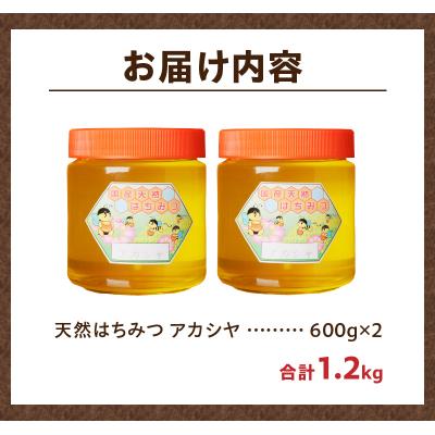 ふるさと納税 滝川市 【北海道滝川産】高見養蜂場の純粋はちみつ(アカシヤ600g×2本)国産 天然 無添加 ハチミツ 蜂蜜 |  | 02