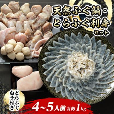ふるさと納税 長門市 【2026年1月中旬より順次発送】とらふぐ白子付き天然ふぐ鍋・とらふぐ刺身セット4-5人前