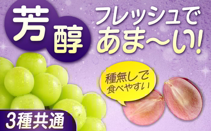 贅沢3種！ ぶどう ブドウ 葡萄 ピオーネ マスカット ニューベリーA 2kg 