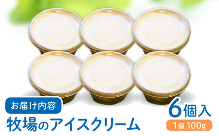 牧場の アイスクリーム セット ( 100g × 6個 ) / アイス ソフトクリーム ミルク デザート スイーツ お菓子 熊本 山都町【山の未来舎】[YBV007] 10000 10,000 100