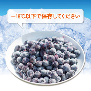 冷凍 ブルーベリー 約750g 【 ブルーベリー 】