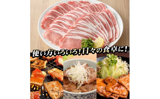 豚肉 鹿児島県産 ロース 1.8kg  ( 300g ×6袋 ) 小分け さつま香潤豚  ローススライス 豚ロース  生姜焼き・豚丼・焼肉 に おすすめ【01-110-22】
