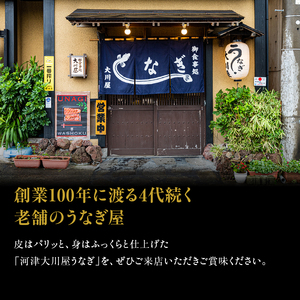 食事券 5000円 河津大川屋うなぎ 炭火直焼き蒲焼 蒲焼き 老舗 うなぎ屋 ウナギ 鰻 関西風 魚 魚介 魚介類 和食 静岡 5,000 お食事券 チケット