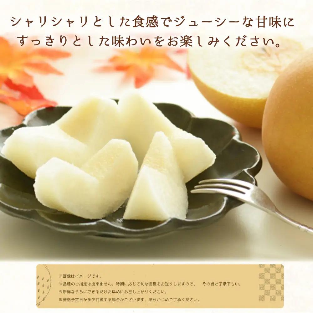 定期便 8・9月発送 紀州有田産旬のフルーツセット（種なし巨峰＆梨セット×計約2kg・シャインマスカット×約2kg）