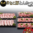 【ふるさと納税】都城産「きなこ豚」とんかつセット - ブランド豚のやわらかい豚肉 豚ロースとんかつ/豚肩ロース豚カツ/ヒレトンカツ/ウデ・モモ小間切れ ひれ肉 腕 もも こま切れ 送料無料 MA-1207【宮崎県都城市は2年連続ふるさと納税日本一！】