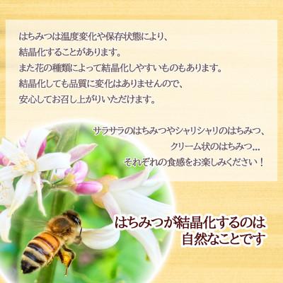 ふるさと納税 東久留米市 【東京都東久留米市】百花純粋生はちみつ 非加熱 140g×3本 野島養蜂場 |  | 03