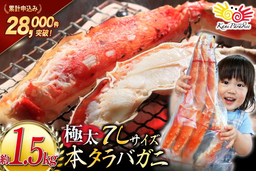 【年内配送 12/15まで受付】本 タラバガニ 脚 ボイル済 約1.5kg 極太7Lサイズ [カネダイ 宮城県 気仙沼市 20564326] カニ かに 蟹 たらばがに たらば蟹 タラバ蟹 たらば タラバ ボイル 