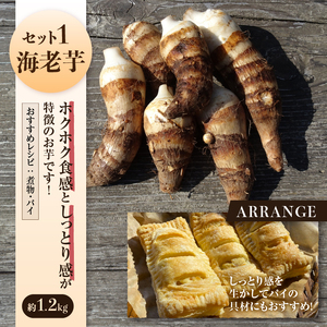 山梨県上野原市産 厳選３種の芋（里芋・京芋・海老芋）セット 各約1.2kg×3種