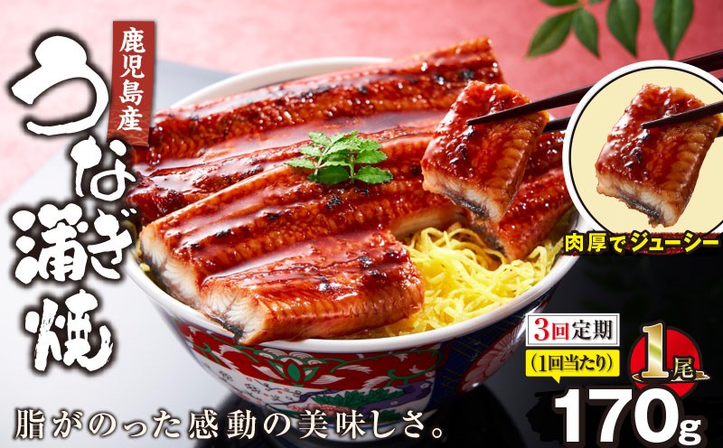 
                  【全3回定期便】鹿児島産うなぎ蒲焼 170g×1尾 清らかな地下水育ち！　KN021-T27
                