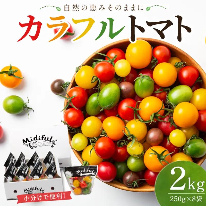 【 トマト 】 カラフルトマト 2kg  ( 250g×8袋 )  