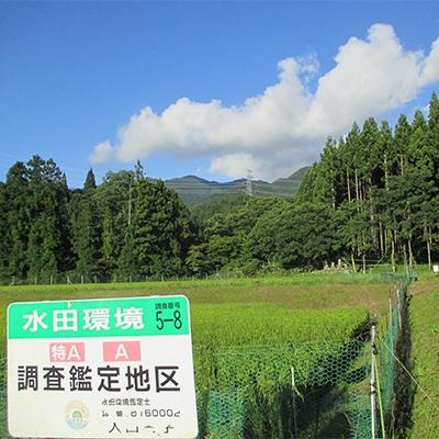 ふるさと納税 高山村 特別栽培米「ミルキークイーン」 白米5kg |  | 02