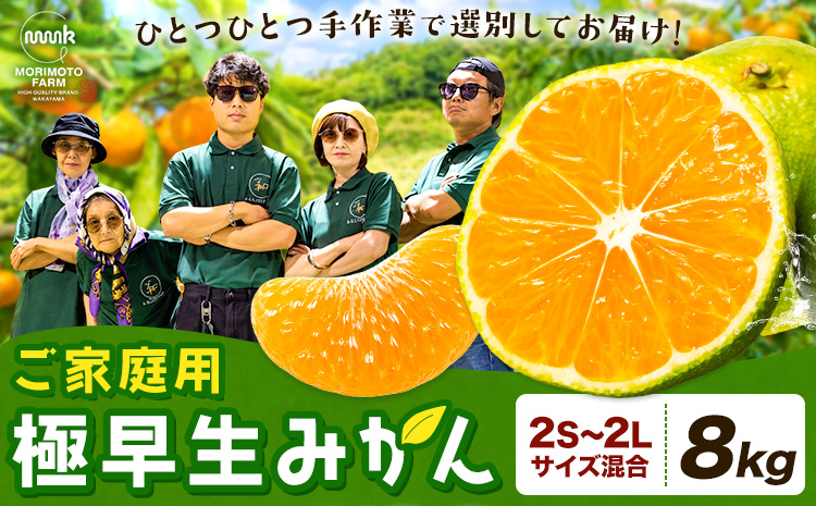 みかん ご家庭用 柑橘 極早生 極早生みかん 手選別 2S-2Lサイズ混合 8kg 森本農園《10月上旬-11月上旬頃出荷》和歌山県 日高町 柑橘類 フルーツ 家庭用 ミカン お取り寄せフルーツ【配送不可地域あり】
