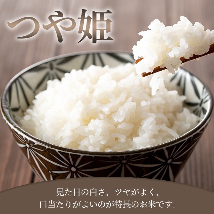 ≪令和7年産≫【10回定期便】つや姫 計100kg(10kg×10回配送) 登米市産 お米 おこめ 米 コメ 白米 ご飯 ごはん おにぎり お弁当 10か月 頒布会【登米ライスサービス株式会社】tm4