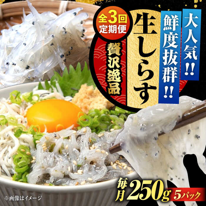 【ふるさと納税】【全3回定期便】鮮度抜群 生しらす 50gX5個 しらす 釜揚げ 冷凍 シラス 小分け パック 干し 魚介類 鮮魚 海鮮 海産物 セット 詰め合わせ ギフト 広島県産 人気 送料無料 江田島市/三島水産株式会社[XCN011]