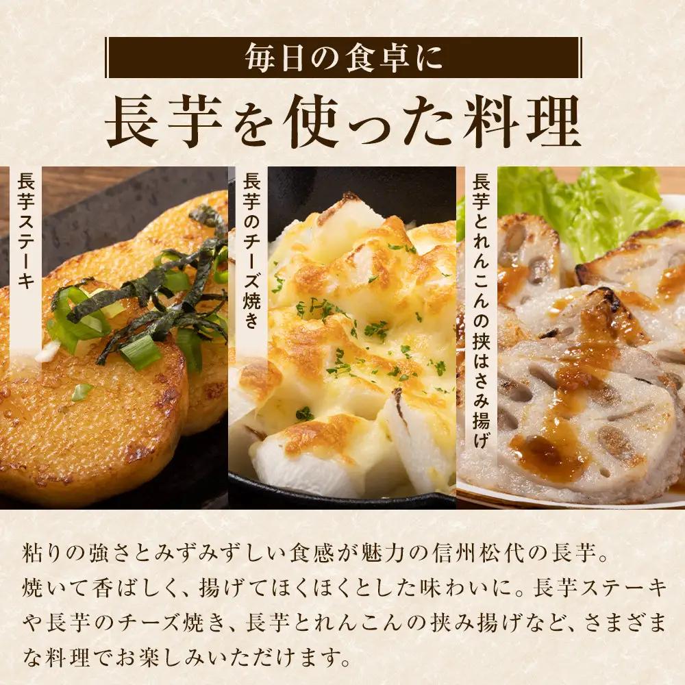 信州の長芋【調理しやすい食べきりサイズ】5～8本入り | 長芋