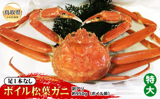 【魚倉】足1本なしボイル松葉ガニ訳あり　特大　約950g（ボイル前）【期間限定】_T2600159 鳥取県 おすすめ ボイル かに がに ガニ 蟹 松葉ガニ