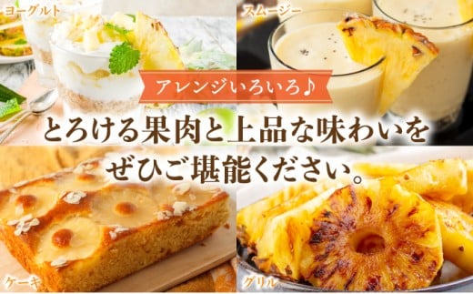 高級感No.1！開発に30年・栽培に3年。パイナップルの最高峰ゴールドバレル1.5kg(1玉)