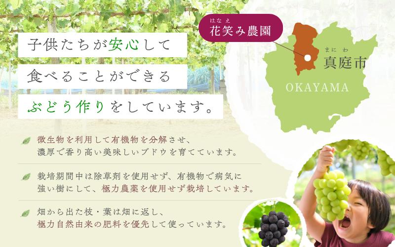 子どもたちが安心して食べることができるぶどう作りをしています。岡山県真庭市花笑み農園
