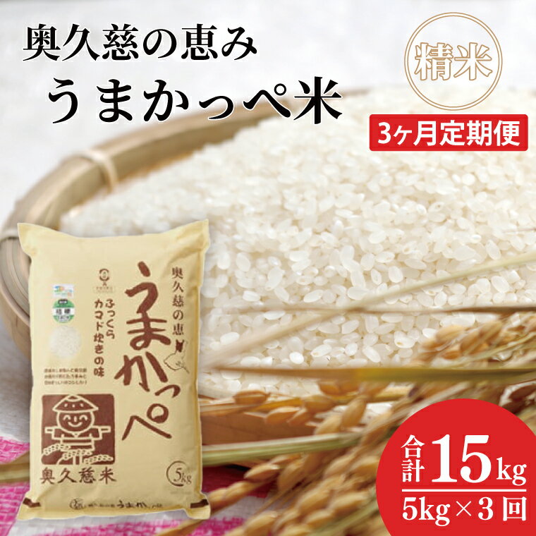 【ふるさと納税】【3ヶ月定期便】令和7年産　奥久慈の恵みうまかっぺ米（コシヒカリ） 5kg｜茨城県 大子町 お米 白米 精米 ブランド米 銘柄米 食味値 ふっくら もちもち（AH019）