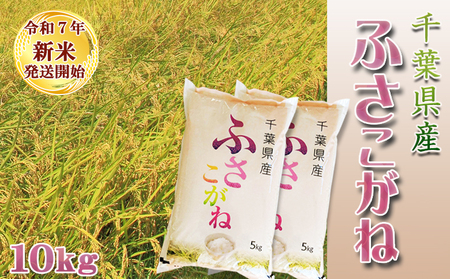 《令和７年産 新米》【米屋新蔵】お米ソムリエ特選 千葉県産『ふさこがね』10kg　[0026-0008]