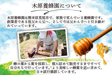 はぜはちみつ 400g 蜂蜜 国産 熊本県荒尾市産 純粋蜂蜜 木原養蜂園《30日以内に順次出荷(土日祝除く)》
